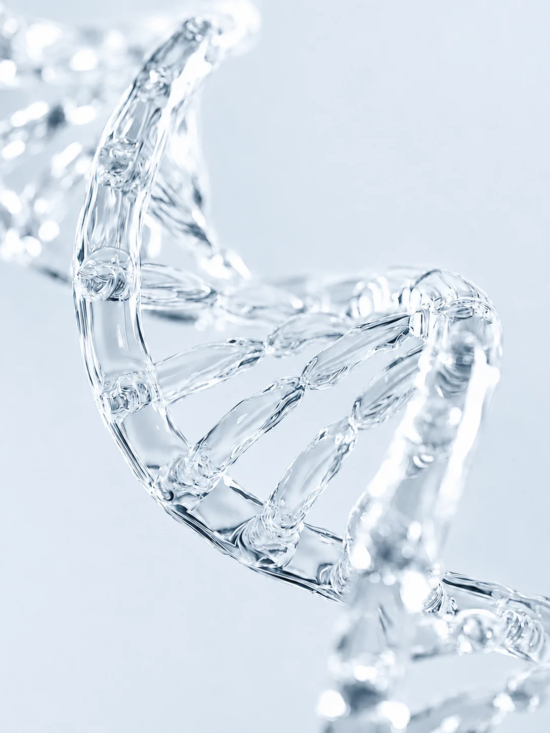 Cognitive & Nootropic peptide research category — Cognitive & Nootropic